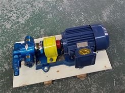 天一YCB系列圆弧齿轮泵柴油油脂泵支持定制
