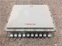 BXJ51-10/8防爆接线端子箱