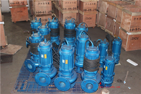 100QW65-15-5.5_  液压潜水排污泵